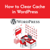 How to Clear Cache in WordPress | | Gotmyhost