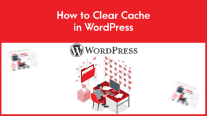 Read more about the article How to Clear Cache in WordPress