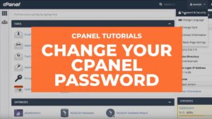 Read more about the article How to change the cPanel password