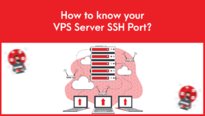 Read more about the article How to know your VPS Server SSH Port