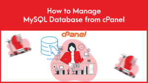 Read more about the article How to Manage MySQL Database from cPanel