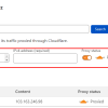 DNS record manage