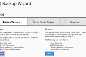 How to Restore Partial Backups in cPanel | | Gotmyhost