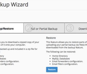 How to Download Backup of Home Directory, MySQL, or Email Only | | Gotmyhost