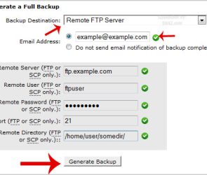 How to Generate a cPanel Backup and Send it to FTP | | Gotmyhost