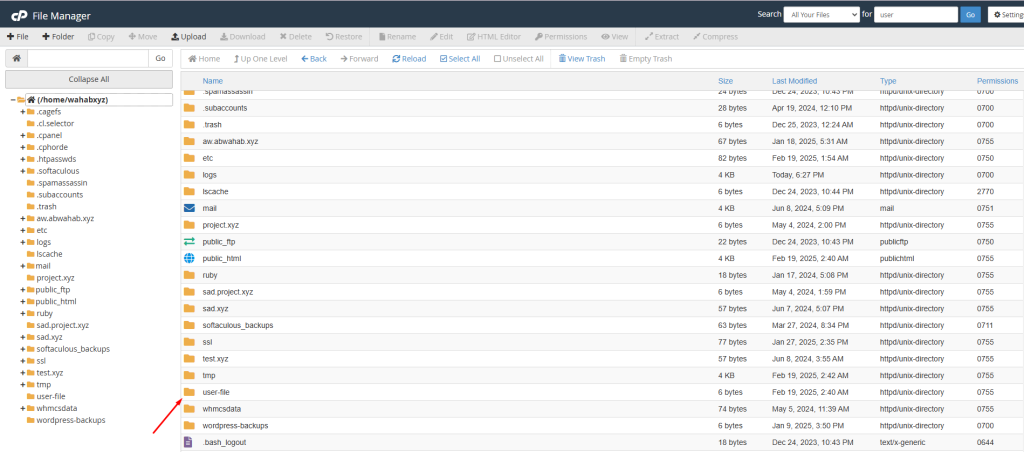 How to manage the files of your hosting account | | Gotmyhost