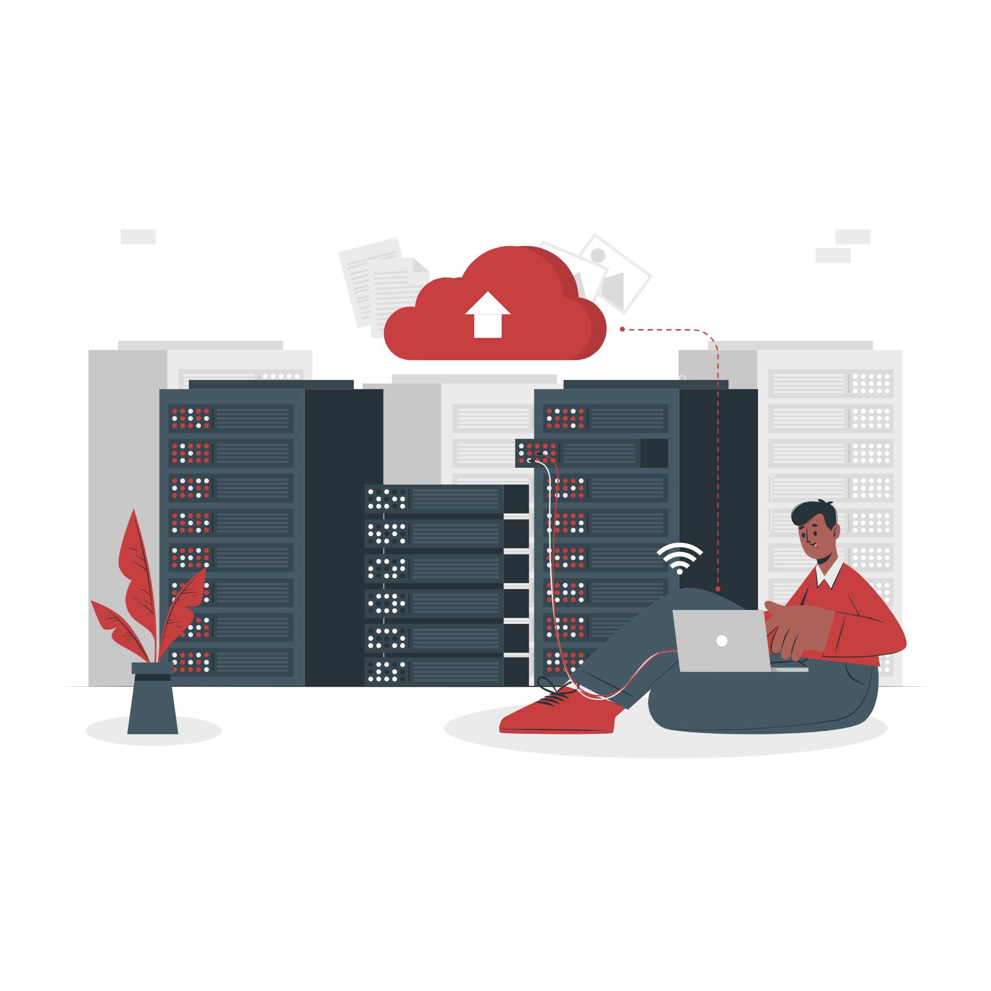 Unmanaged Hosting