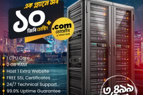 10GB Hosting + 1-Year .COM Domain — All for Just Tk3499! | | Gotmyhost