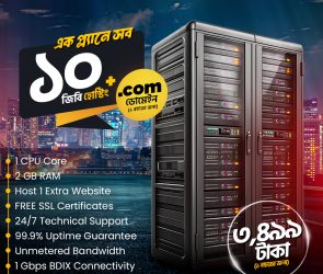 10GB Hosting + 1-Year .COM Domain — All for Just Tk3499! | | Gotmyhost
