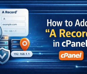 How to Add "A Record" in cPanel | | Gotmyhost