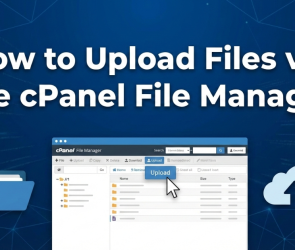How to Upload Files via the cPanel File Manager | | Gotmyhost