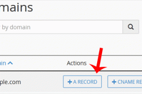 How to Add "A Record" in cPanel | | Gotmyhost