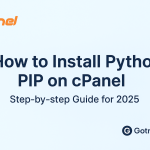 PIP