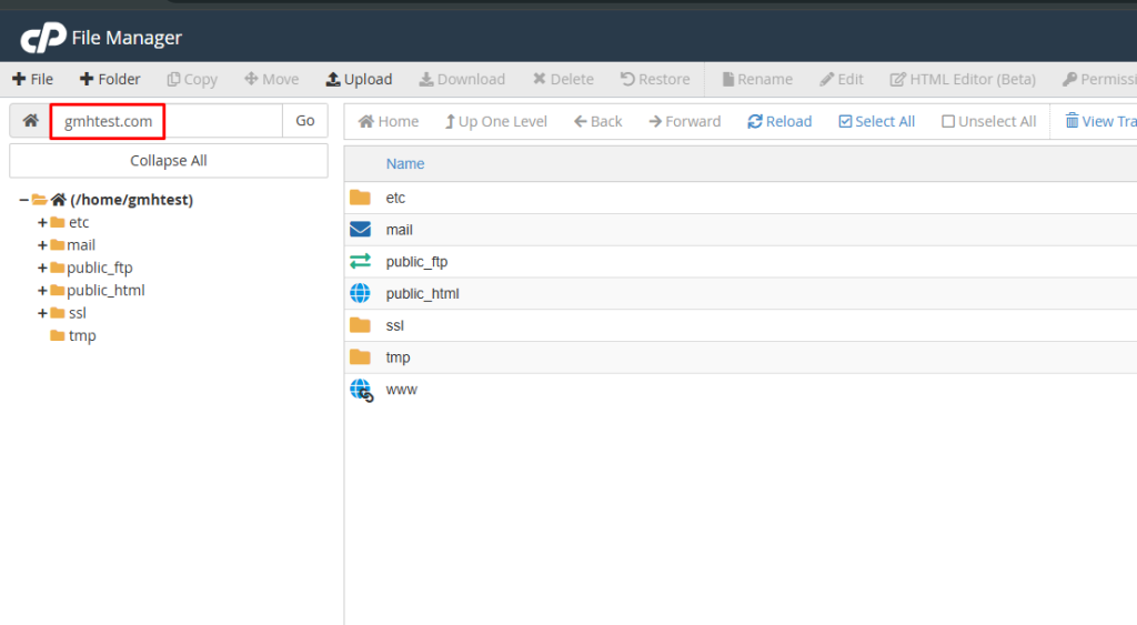 cPanel Reseller Hosting Account Transfer to Gotmyhost | | Gotmyhost