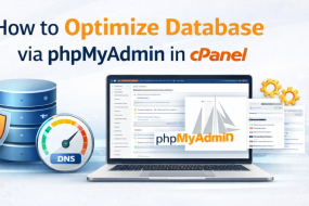 How to Optimize Database via phpMyAdmin in cPanel | | Gotmyhost