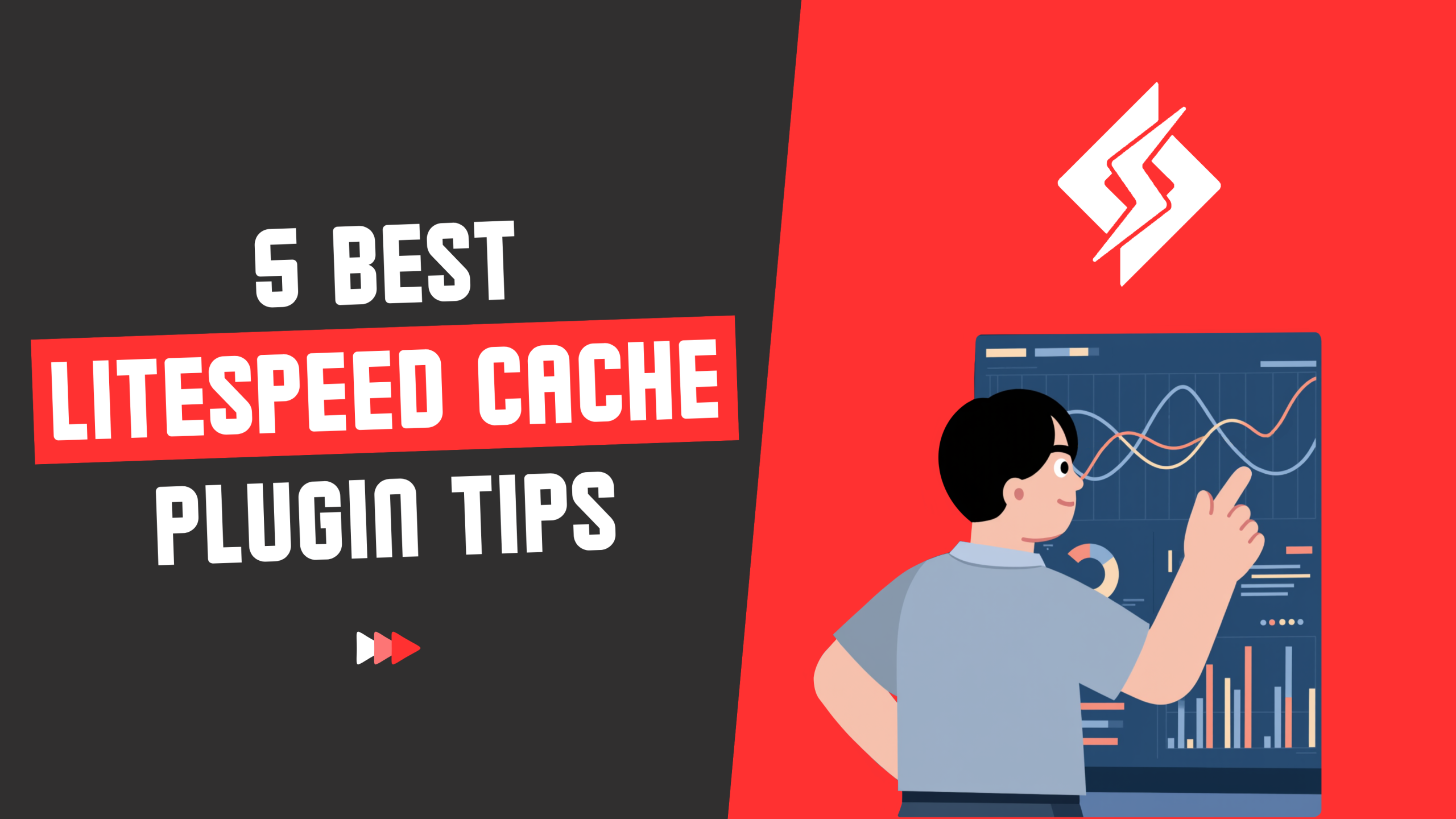 LiteSpeed Cache Plugin For WordPress